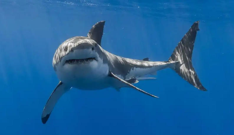 杭州恒利钢构网架工程有限公司轮播图1