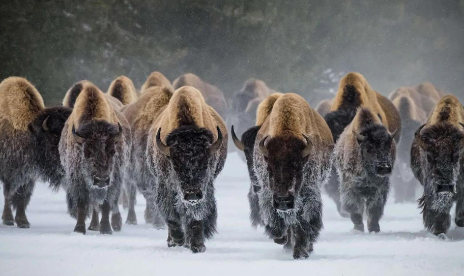 杭州恒利钢构网架工程有限公司轮播图2